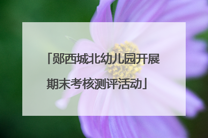 郧西城北幼儿园开展期末考核测评活动