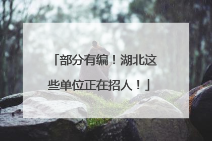 部分有编！湖北这些单位正在招人！