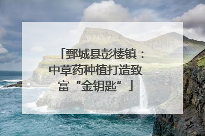 鄄城县彭楼镇：中草药种植打造致富“金钥匙”
