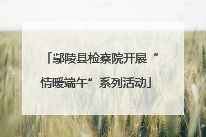 鄢陵县检察院开展“情暖端午”系列活动