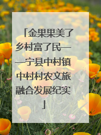金果果美了乡村富了民——宁县中村镇中村村农文旅融合发展纪实