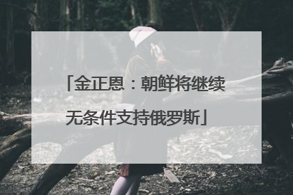 金正恩：朝鲜将继续无条件支持俄罗斯