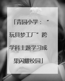青园小学：“玩具梦工厂”跨学科主题学习成果闪耀校园