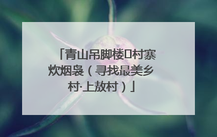 青山吊脚楼 村寨炊烟袅（寻找最美乡村·上敖村）