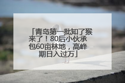 青岛第一批知了猴来了！80后小伙承包60亩林地，高峰期日入过万