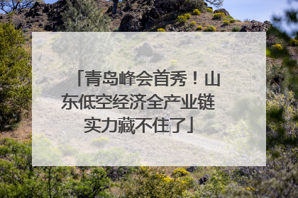 青岛峰会首秀！山东低空经济全产业链实力藏不住了
