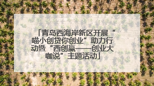 青岛西海岸新区开展“喵小创贷你创业”助力行动暨“西创赢——创业大咖说”主题活动