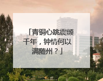 青铜心跳震颤千年，钟情何以满随州？