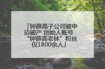 钟薛高子公司被申请破产 创始人账号“钟薛高老林”粉丝仅1800余人
