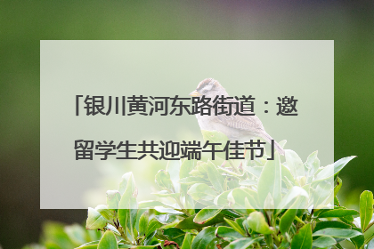 银川黄河东路街道：邀留学生共迎端午佳节