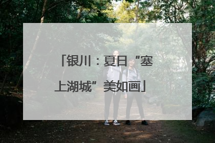 银川：夏日“塞上湖城”美如画