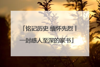 铭记历史 缅怀先烈丨一封感人至深的家书