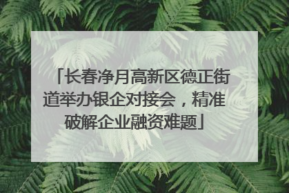 长春净月高新区德正街道举办银企对接会，精准破解企业融资难题