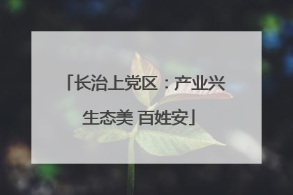 长治上党区：产业兴 生态美 百姓安