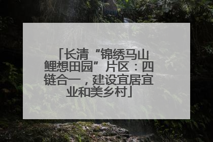 长清“锦绣马山 鲤想田园”片区：四链合一，建设宜居宜业和美乡村