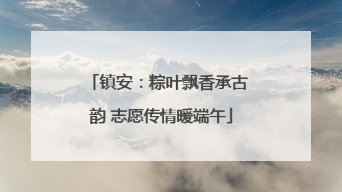 镇安：粽叶飘香承古韵 志愿传情暖端午