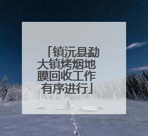 镇沅县勐大镇烤烟地膜回收工作有序进行