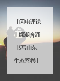闪电评论丨绿潮奔涌 书写山东生态答卷