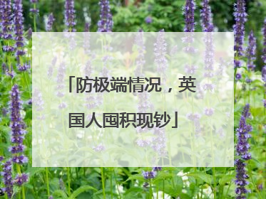 防极端情况，英国人囤积现钞