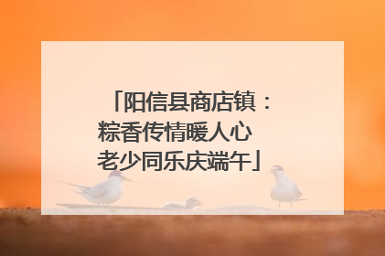 阳信县商店镇：粽香传情暖人心 老少同乐庆端午