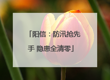阳信：防汛抢先手 隐患全清零