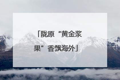 陇原“黄金浆果”香飘海外