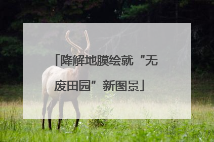 降解地膜绘就“无废田园”新图景