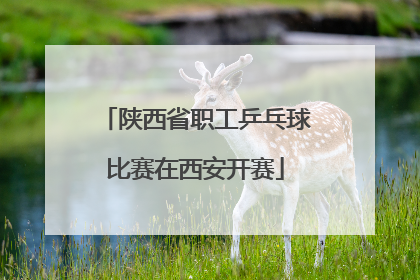 陕西省职工乒乓球比赛在西安开赛