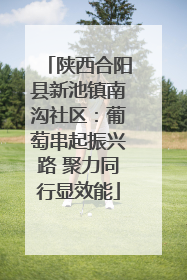 陕西合阳县新池镇南沟社区：葡萄串起振兴路 聚力同行显效能