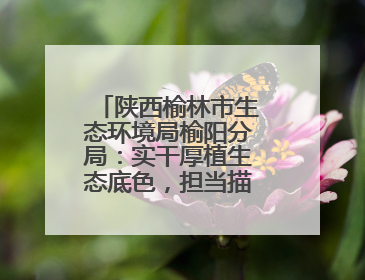 陕西榆林市生态环境局榆阳分局：实干厚植生态底色，担当描绘绿色答卷