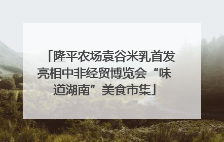隆平农场袁谷米乳首发亮相中非经贸博览会“味道湖南”美食市集
