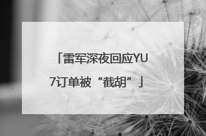 雷军深夜回应YU7订单被“截胡”