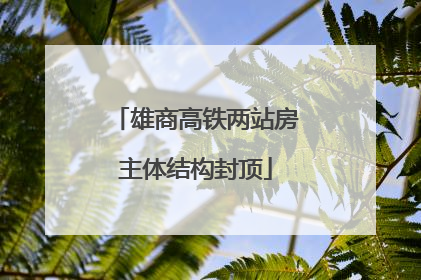 雄商高铁两站房主体结构封顶