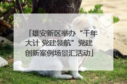 雄安新区举办“千年大计 党建领航”党建创新案例场景汇活动