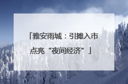 雅安雨城：引摊入市 点亮“夜间经济”