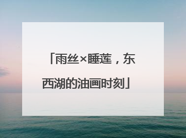 雨丝×睡莲，东西湖的油画时刻