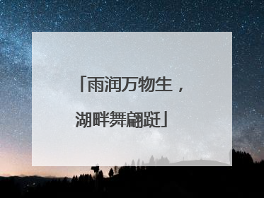 雨润万物生，湖畔舞翩跹