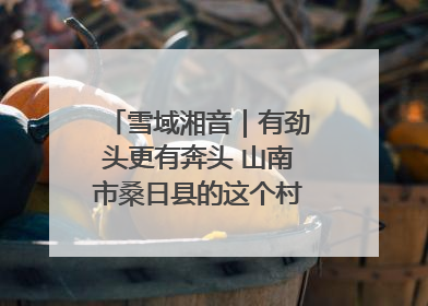 雪域湘音｜有劲头更有奔头 山南市桑日县的这个村落迎来蜕变