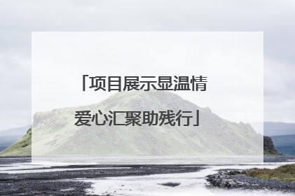 项目展示显温情 爱心汇聚助残行