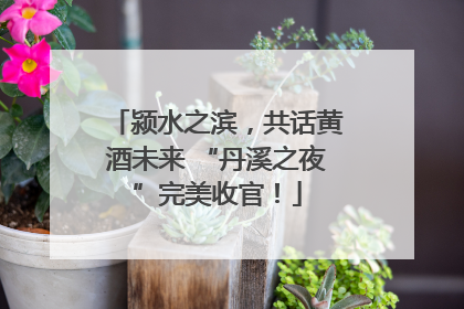 颍水之滨，共话黄酒未来 “丹溪之夜”完美收官！