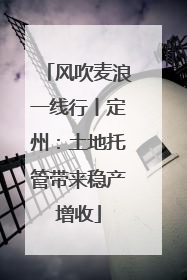 风吹麦浪一线行丨定州：土地托管带来稳产增收