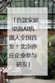 首款家庭桌面AI机器人全国首发！北京亦庄企业参与研发