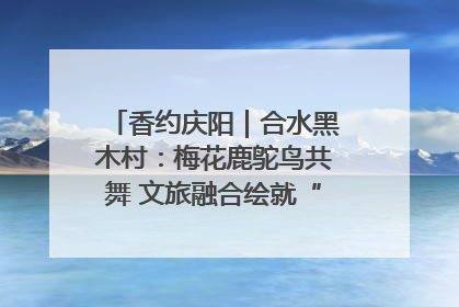 香约庆阳｜合水黑木村：梅花鹿鸵鸟共舞 文旅融合绘就“诗与远方”