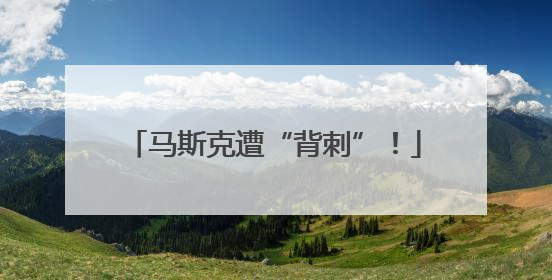 马斯克遭“背刺”！
