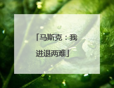 马斯克：我进退两难