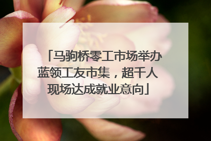 马驹桥零工市场举办蓝领工友市集，超千人现场达成就业意向