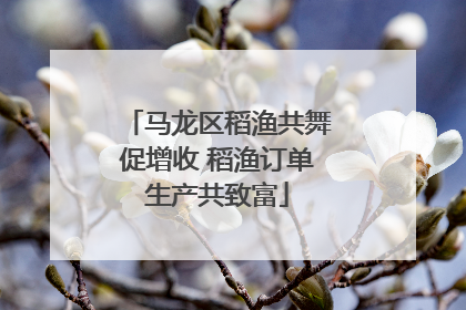 马龙区稻渔共舞促增收 稻渔订单生产共致富