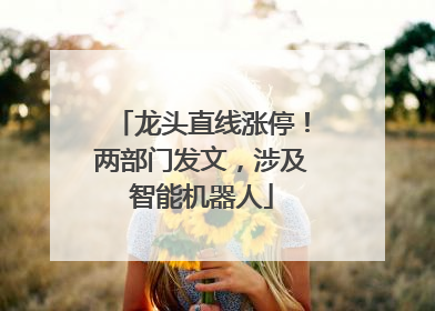 龙头直线涨停！两部门发文，涉及智能机器人