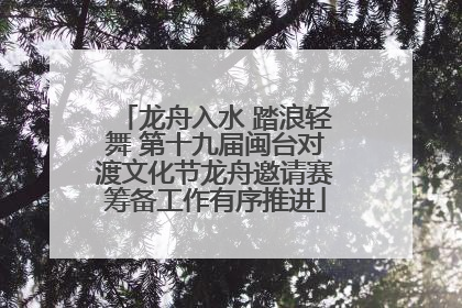 龙舟入水 踏浪轻舞 第十九届闽台对渡文化节龙舟邀请赛筹备工作有序推进
