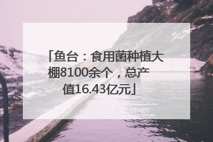 鱼台：食用菌种植大棚8100余个，总产值16.43亿元